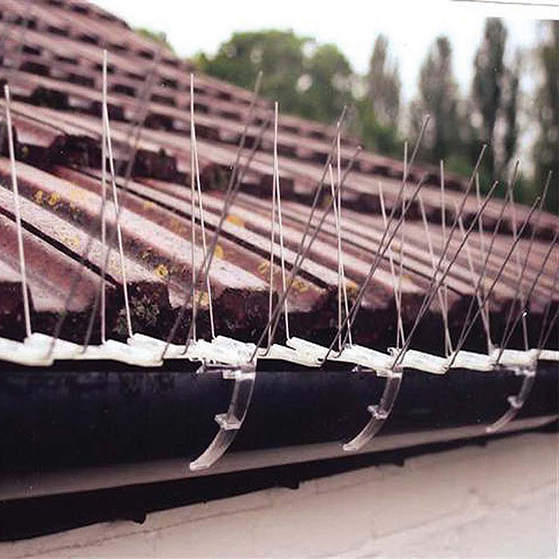 Gutters North Devon - CITB cert